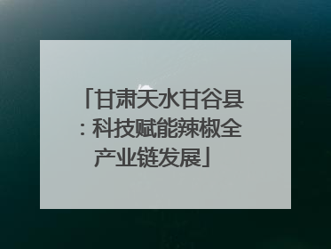 甘肃天水甘谷县：科技赋能辣椒全产业链发展