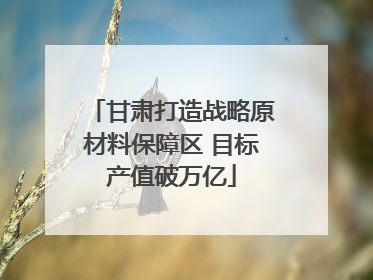 甘肃打造战略原材料保障区 目标产值破万亿