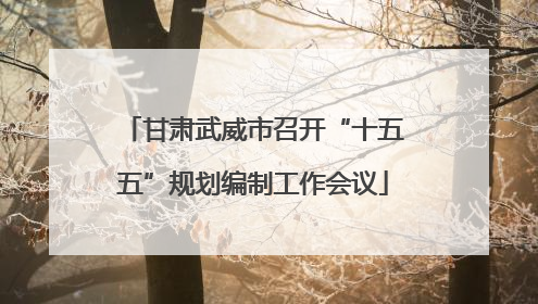 甘肃武威市召开“十五五”规划编制工作会议