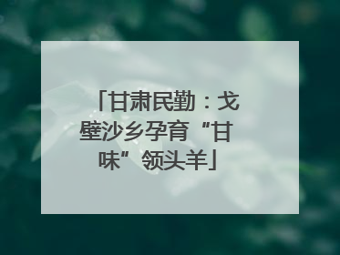 甘肃民勤：戈壁沙乡孕育“甘味”领头羊