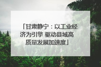 甘肃静宁：以工业经济为引擎 驱动县域高质量发展加速度