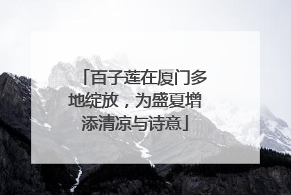 百子莲在厦门多地绽放，为盛夏增添清凉与诗意