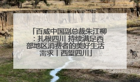 百威中国副总裁朱江柳：扎根四川 持续满足西部地区消费者的美好生活需求丨西望四川