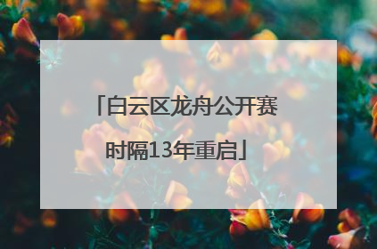白云区龙舟公开赛时隔13年重启