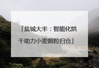 盐城大丰：智能化烘干助力小麦颗粒归仓