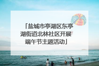 盐城市亭湖区东亭湖街道北林社区开展端午节主题活动