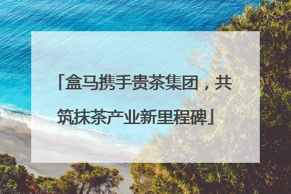盒马携手贵茶集团，共筑抹茶产业新里程碑