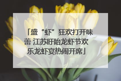 盛“虾”狂欢打开味蕾 江苏盱眙龙虾节欢乐龙虾宴热闹开席
