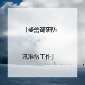 盛蕾调研防汛准备工作