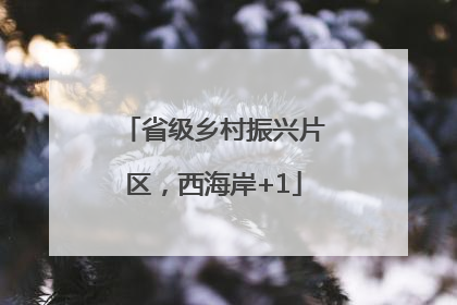 省级乡村振兴片区，西海岸+1