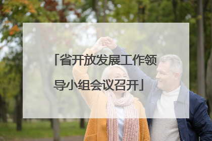 省开放发展工作领导小组会议召开