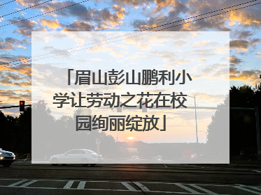 眉山彭山鹏利小学让劳动之花在校园绚丽绽放