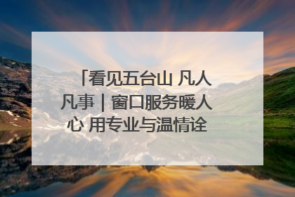 看见五台山 凡人凡事｜窗口服务暖人心 用专业与温情诠释责任担当