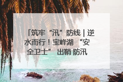 筑牢“汛”防线｜逆水而行！宝峰湖 “安全卫士” 出鞘 防汛应急再添硬核力量