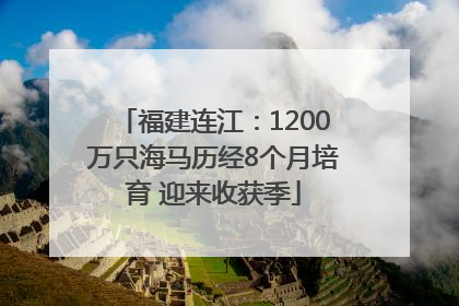 福建连江：1200万只海马历经8个月培育 迎来收获季