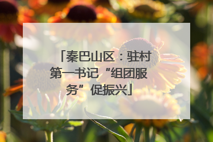 秦巴山区：驻村第一书记“组团服务”促振兴