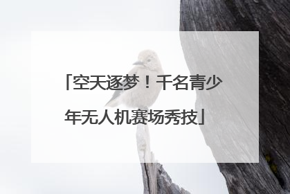 空天逐梦！千名青少年无人机赛场秀技