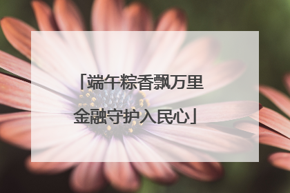 端午粽香飘万里 金融守护入民心