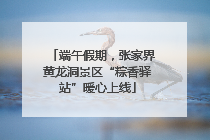 端午假期，张家界黄龙洞景区“粽香驿站”暖心上线
