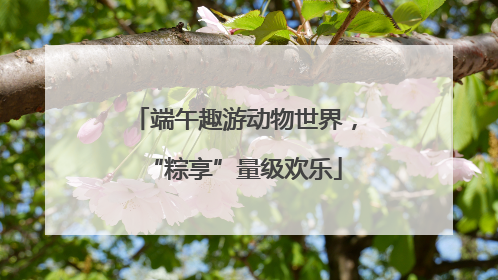 端午趣游动物世界，“粽享”量级欢乐
