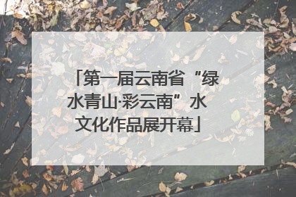 第一届云南省“绿水青山·彩云南”水文化作品展开幕