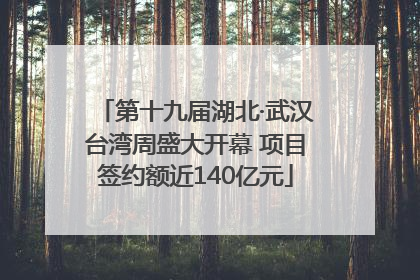 第十九届湖北·武汉台湾周盛大开幕 项目签约额近140亿元