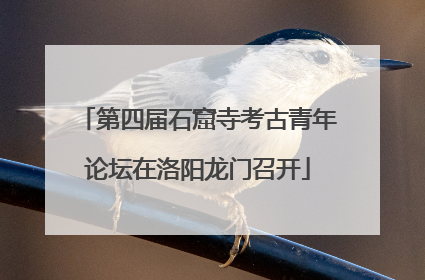 第四届石窟寺考古青年论坛在洛阳龙门召开