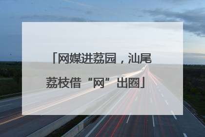 网媒进荔园，汕尾荔枝借“网”出圈