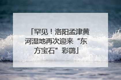 罕见！洛阳孟津黄河湿地再次迎来“东方宝石”彩鹮