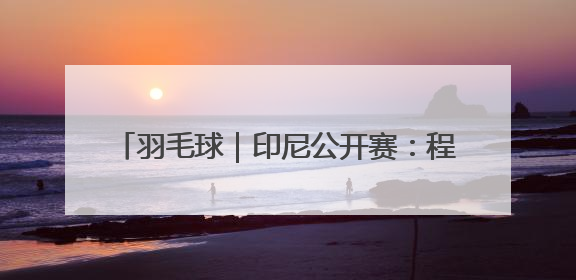 羽毛球｜印尼公开赛：程星/张驰混双首轮晋级