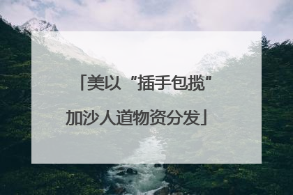 美以“插手包揽”加沙人道物资分发