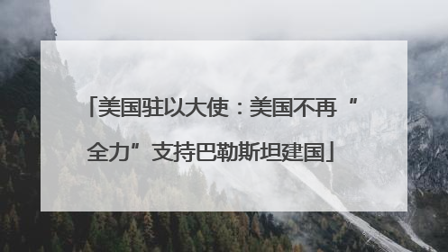 美国驻以大使：美国不再“全力”支持巴勒斯坦建国