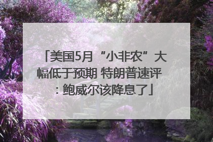 美国5月“小非农”大幅低于预期 特朗普速评：鲍威尔该降息了