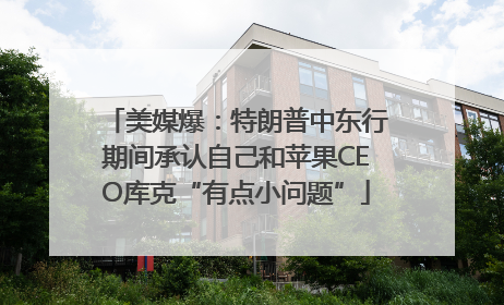 美媒爆：特朗普中东行期间承认自己和苹果CEO库克“有点小问题”