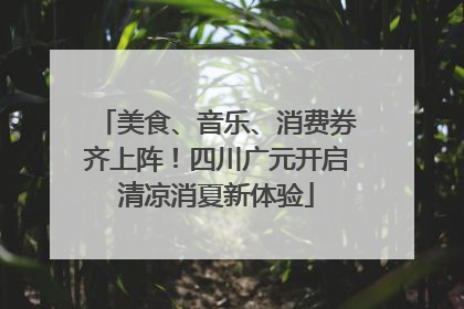 美食、音乐、消费券齐上阵！四川广元开启清凉消夏新体验