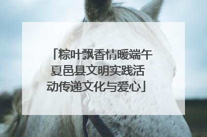 粽叶飘香情暖端午 夏邑县文明实践活动传递文化与爱心