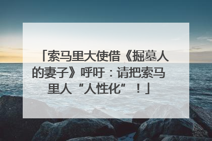 索马里大使借《掘墓人的妻子》呼吁：请把索马里人“人性化”！