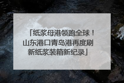 纸浆母港领跑全球！山东港口青岛港再度刷新纸浆装箱新纪录