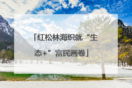 红松林海织就“生态+”富民画卷