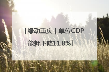绿动重庆｜单位GDP能耗下降11.8%