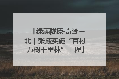 绿满陇原·奇迹三北｜张掖实施“百村万树千里林”工程