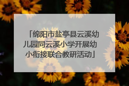 绵阳市盐亭县云溪幼儿园同云溪小学开展幼小衔接联合教研活动