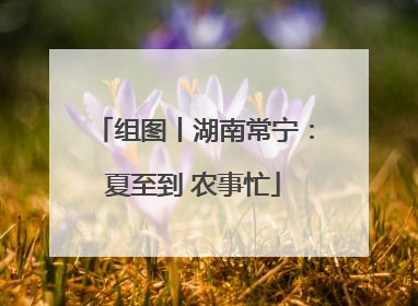 组图丨湖南常宁：夏至到 农事忙