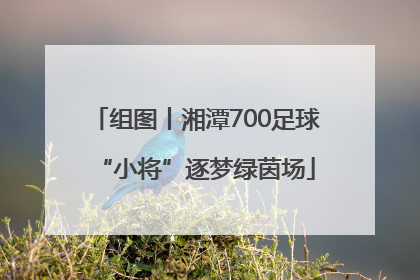 组图丨湘潭700足球“小将”逐梦绿茵场