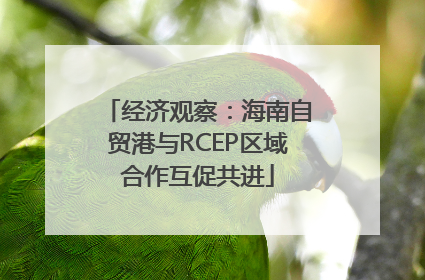 经济观察：海南自贸港与RCEP区域合作互促共进
