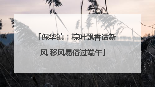 保华镇：粽叶飘香话新风 移风易俗过端午