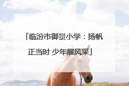 临汾市御景小学：扬帆正当时 少年展风采