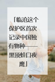 临沧这个保护区首次记录中国独有物种——黑顶蛙口夜鹰
