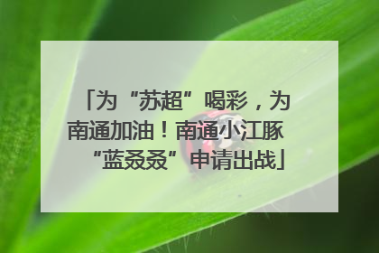 为“苏超”喝彩，为南通加油！南通小江豚“蓝叒叒”申请出战