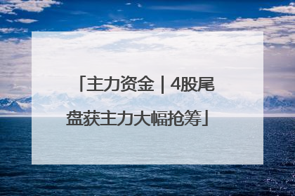主力资金｜4股尾盘获主力大幅抢筹